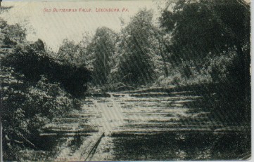 Old Buttermilk Falls